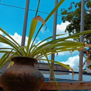 Meet your Posher, Vidhi